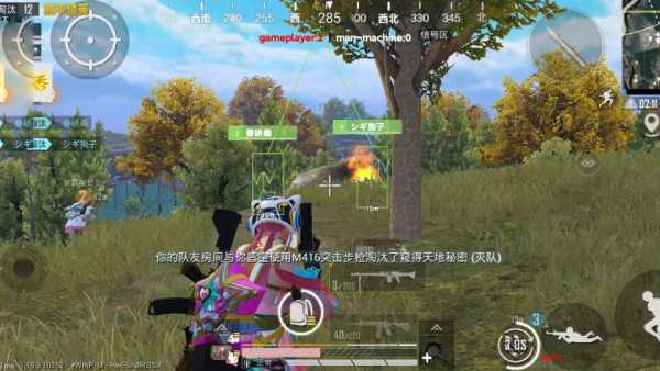 和平精英辅助得类型分为那些